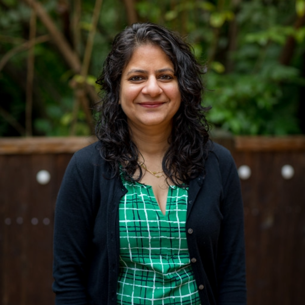 Lead Teacher - Adity Mittal